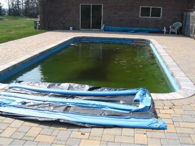 inground-pool-covers-foto