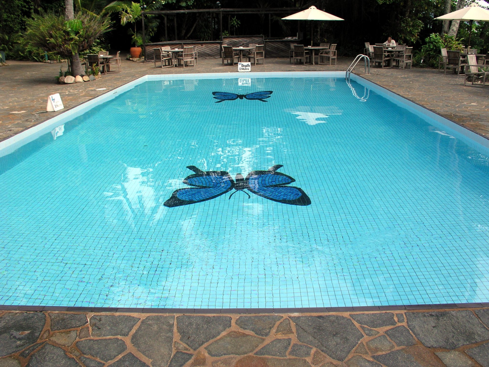 cost of inground pool cover
